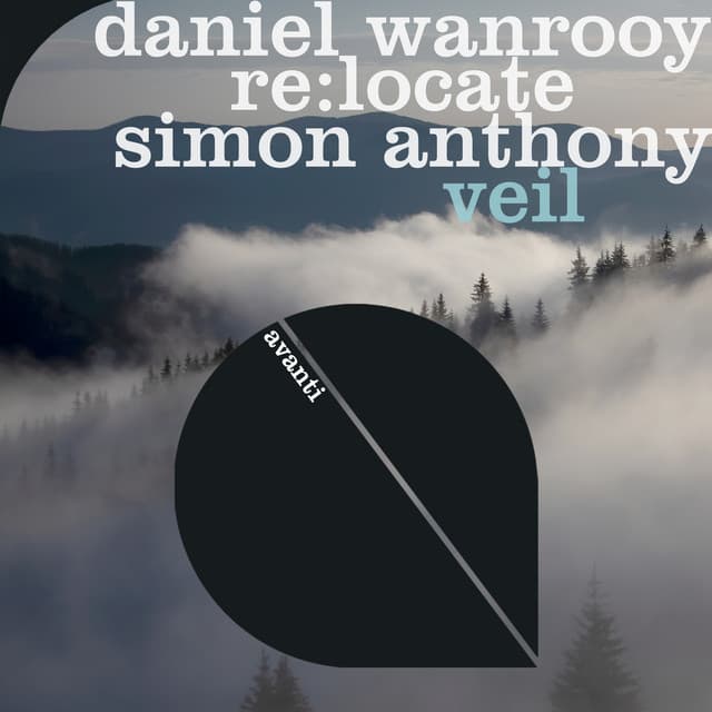 Veil cover art
