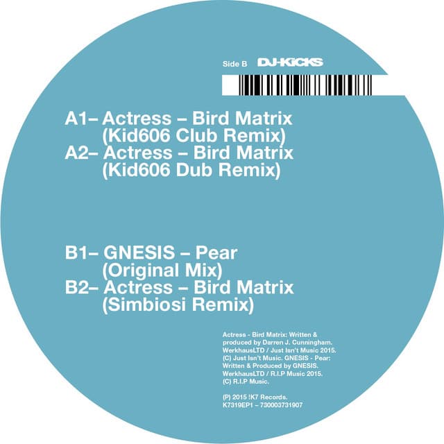 Bird Matrix - Simbiosi Remix cover art