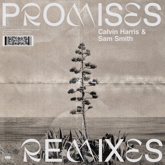 Promises (with Sam Smith) - MK Remix cover art