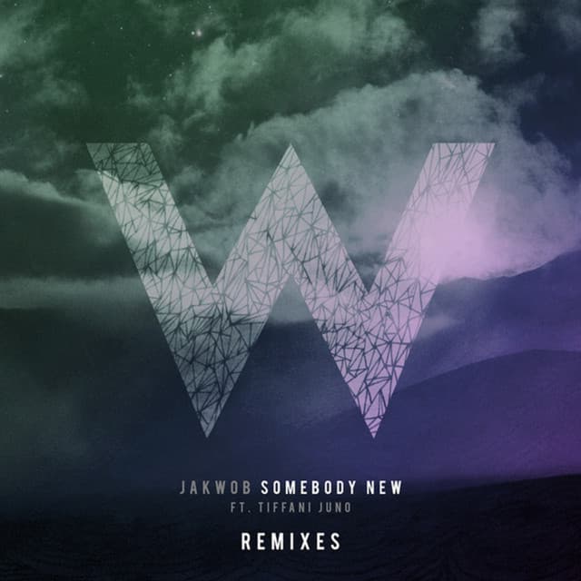 Somebody New (Remixes) cover art
