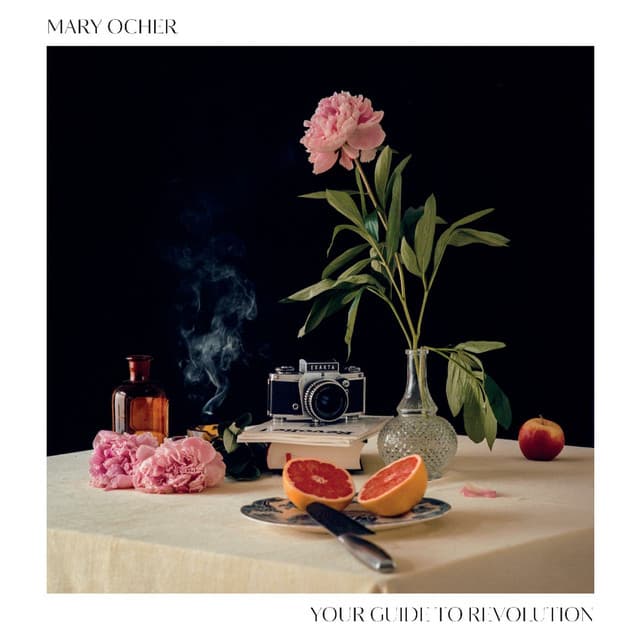 Your Guide to Revolution cover art