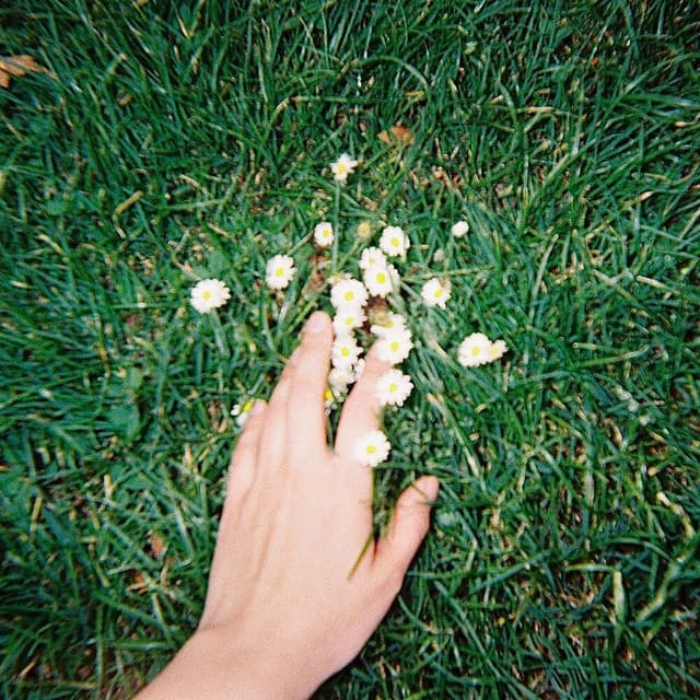 could you not go? cover art