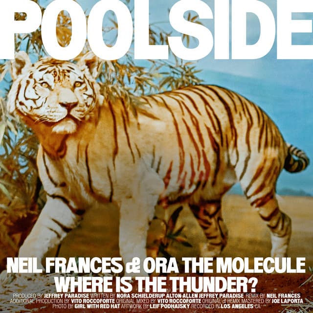 Where Is The Thunder? - NEIL FRANCES Remix cover art