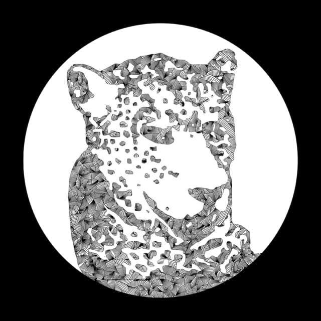 Need Your Lovin - Tiger & Woods Extended Remix cover art