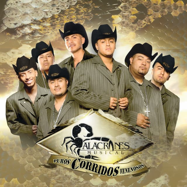 Román Iriarte cover art