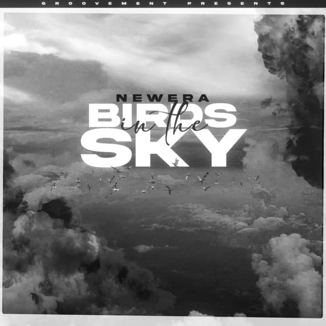 Birds In The Sky - Protein Bor Remix cover art