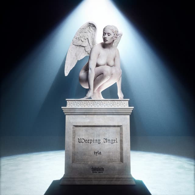 Strut cover art