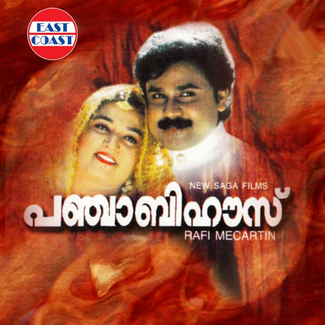 Punjabi House cover art