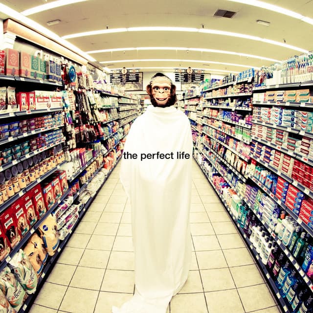 The Perfect Life cover art