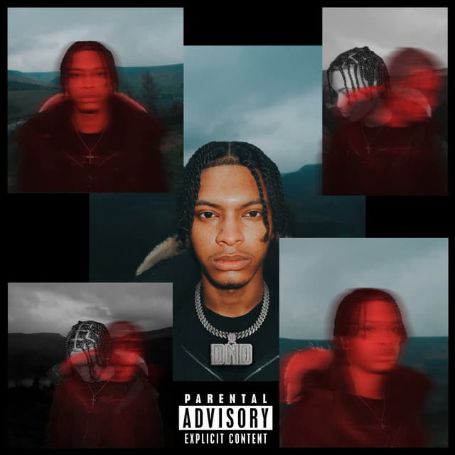 DO NOT DISTURB (DELUXE) cover art