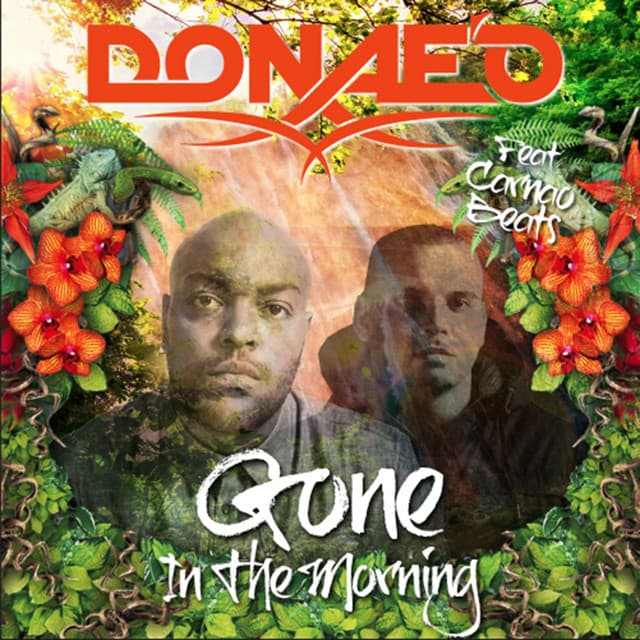 Gone in the Morning cover art