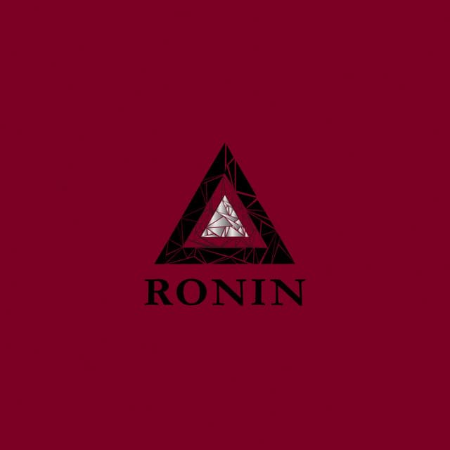 Teachings Of A Ronin cover art