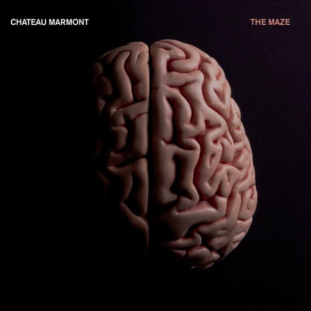 The Maze cover art