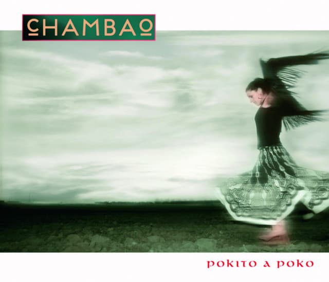 Pokito A Poko cover art