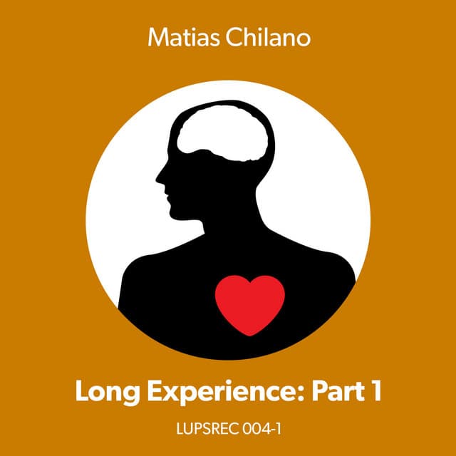 Long Experience - Quarrel Remix cover art