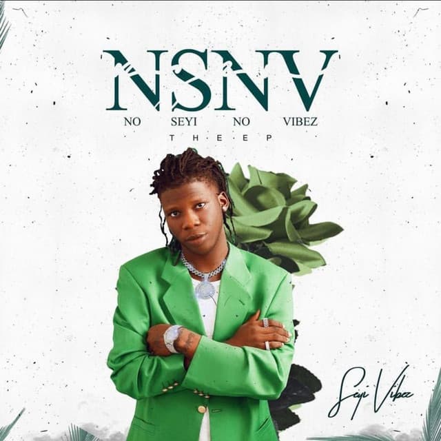 NSNV cover art
