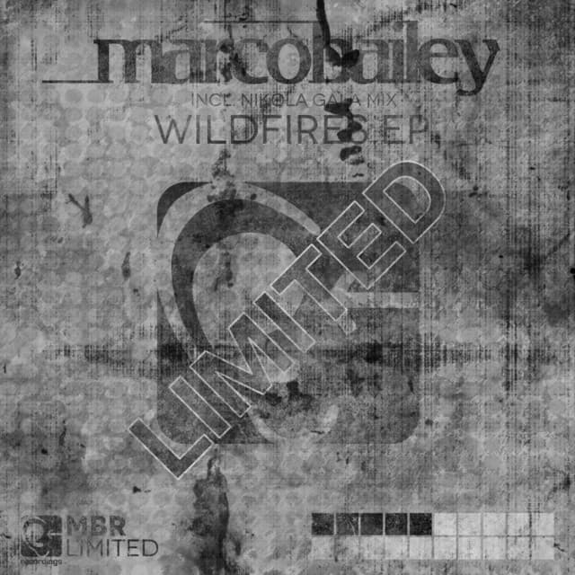 Wildfires - Nikola Gala Remix cover art