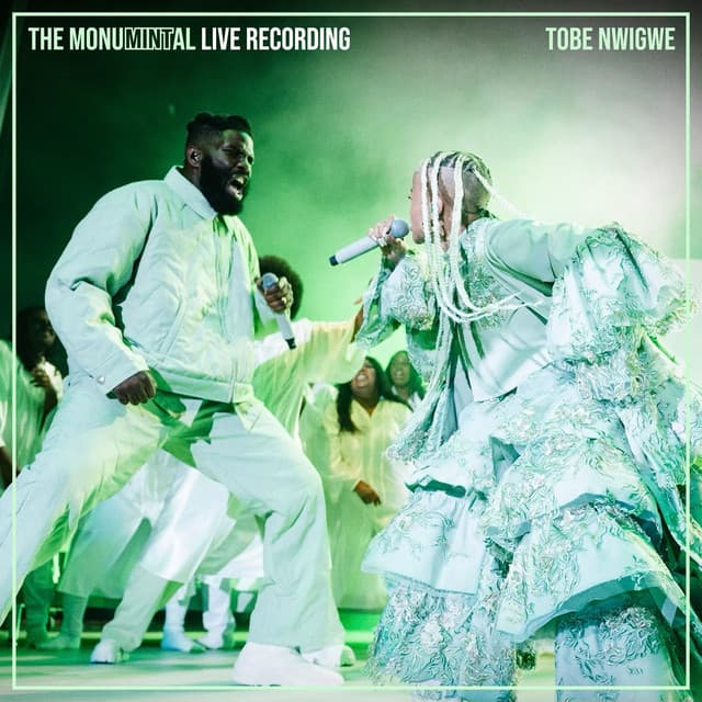 FYE FYE (AT THE CRIB) (MONUMINTAL LIVE) cover art