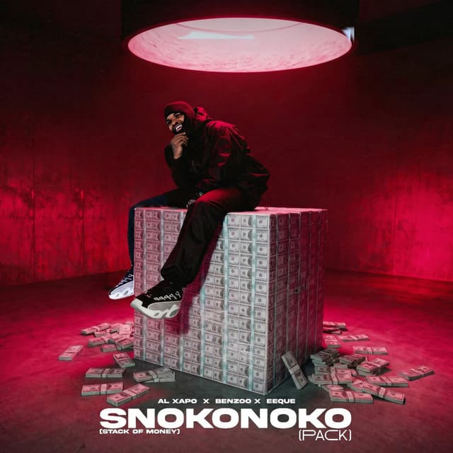 SNOKONOKO (Radio Edit) cover art