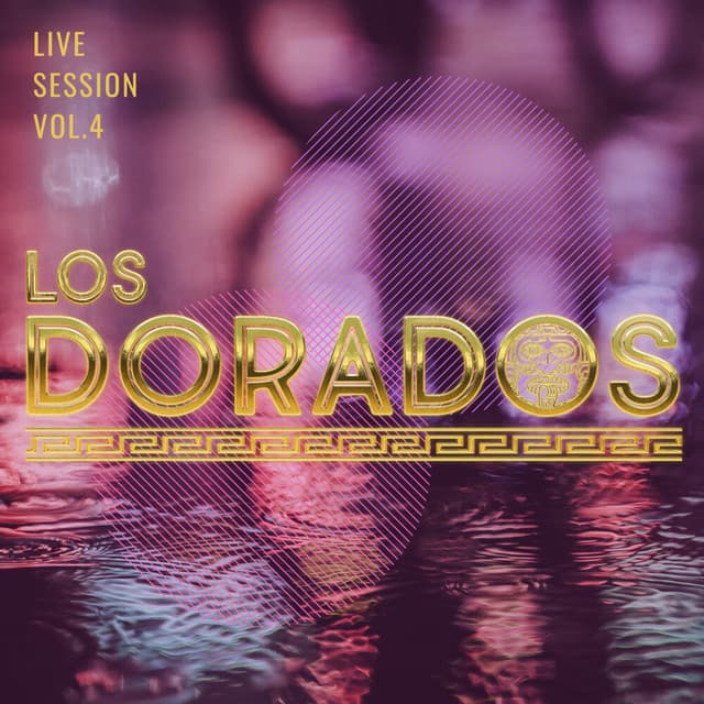Muchachita (En Vivo) cover art
