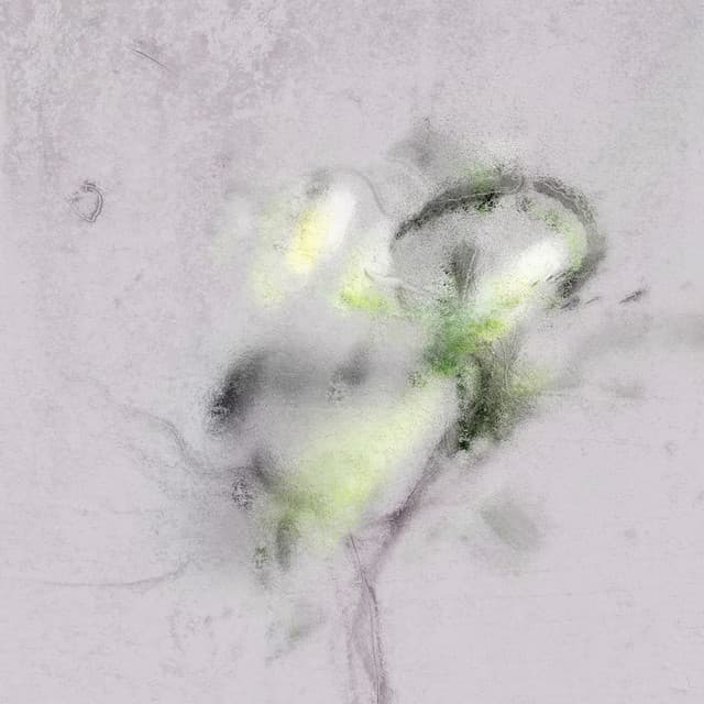 Transient Curse cover art