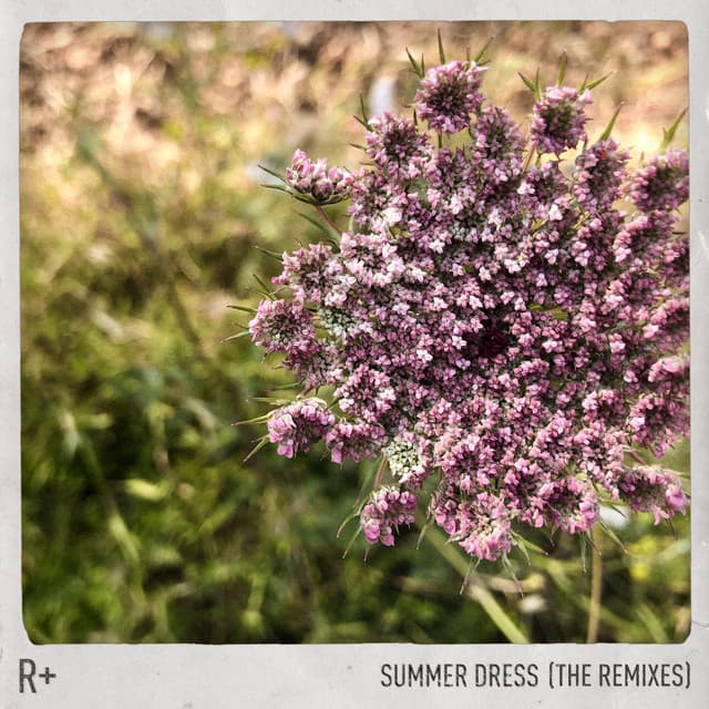 Summer Dress (Amtrac Remix) cover art