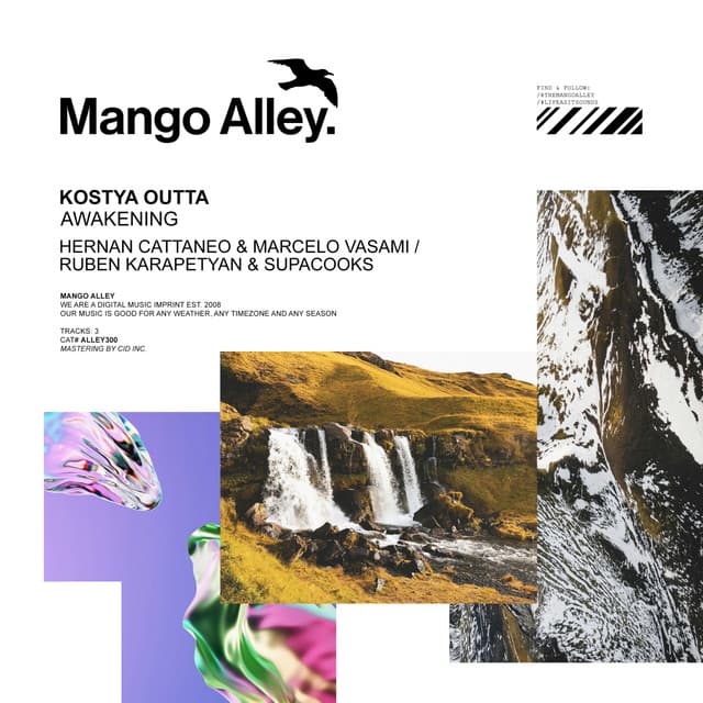 Awakening - Hernan Cattaneo & Marcelo Vasami Remix cover art