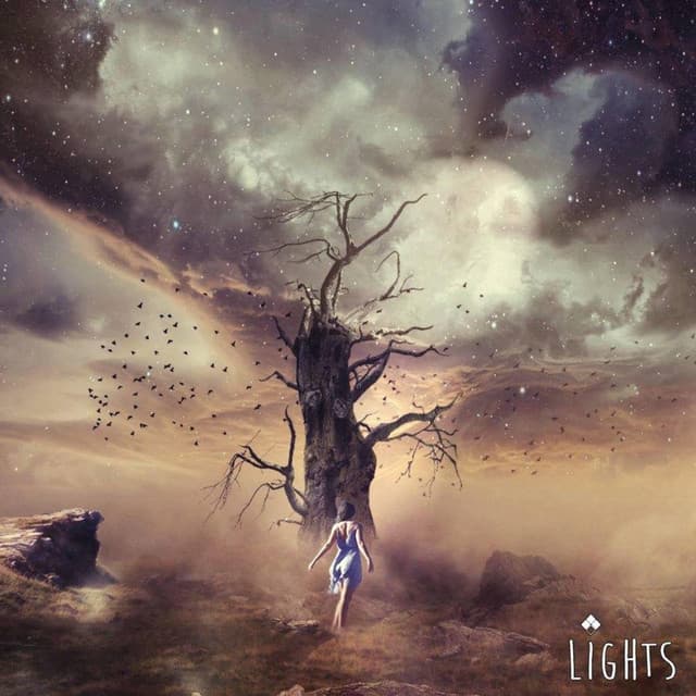 Lights cover art