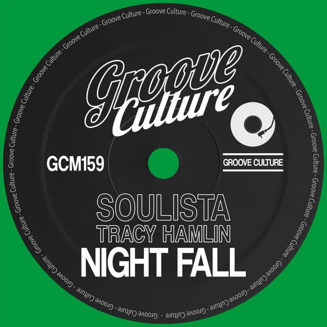 Night Fall - Radio Edit cover art