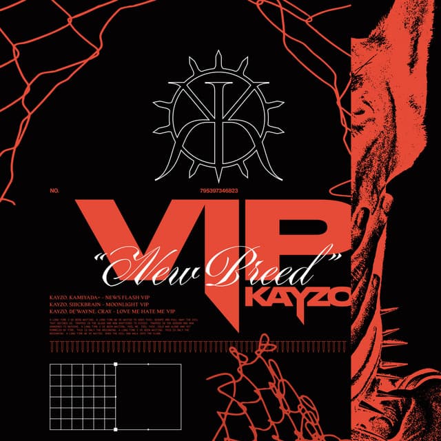 NEWS FLASH - VIP cover art