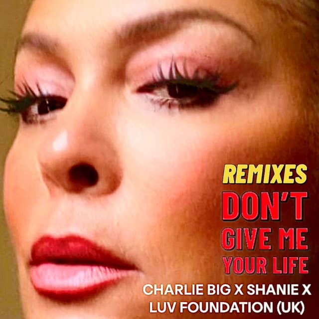 Don't Give Me Your Life - Jamie Hughes Remix cover art