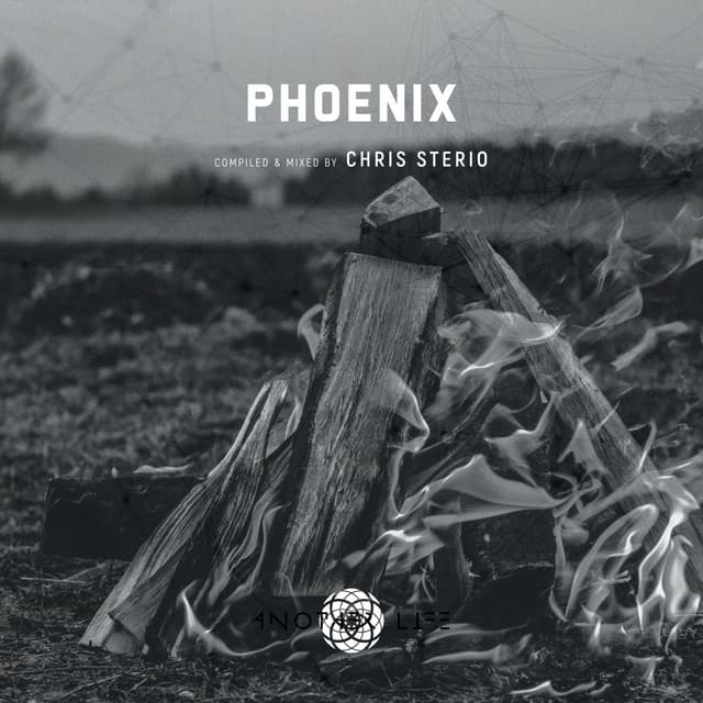 Phoenix (DJ Mix) cover art