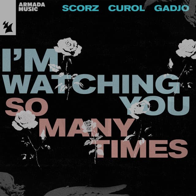 I'm Watching You (So Many Times) - Extended Mix cover art
