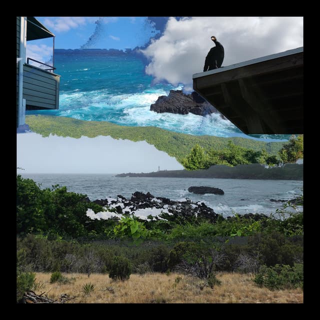 In Environment cover art