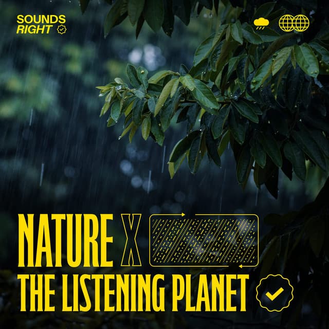 Rain on England’s Hedgerows cover art