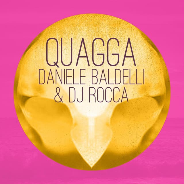 Quagga - Aimes' Night Into Day Remix cover art