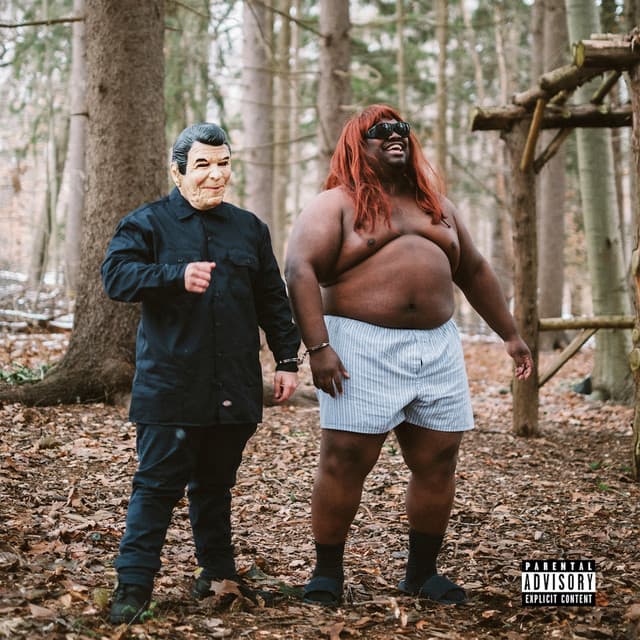 The Cure for Amoxicillin cover art