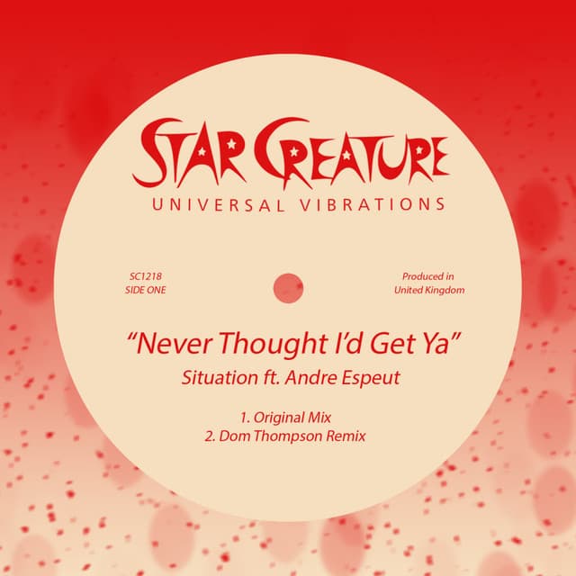 Never Thought I'd Get Ya - Frank Situation Remix cover art