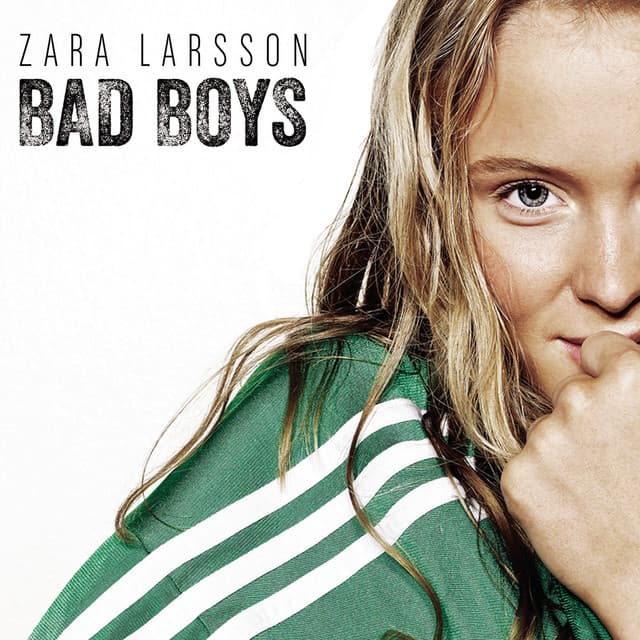 Bad Boys cover art