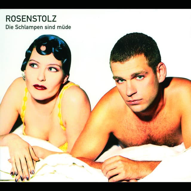 Die Schlampen sind müde cover art