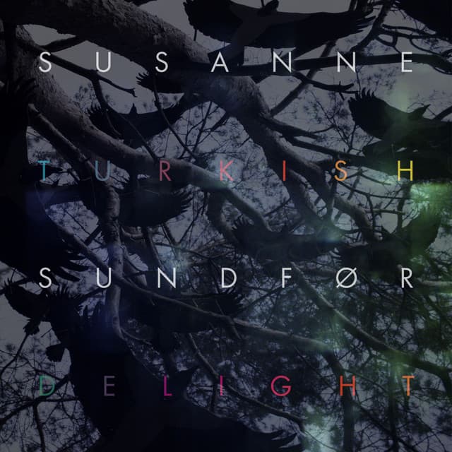 Turkish Delight - Souldrop Remix cover art