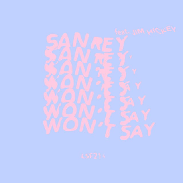 Won’t Say - Fiona Kraft Remix cover art