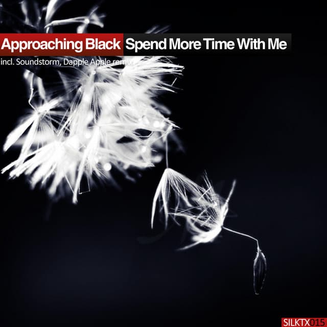 Spend More Time With Me - Dapple Apple Remix cover art