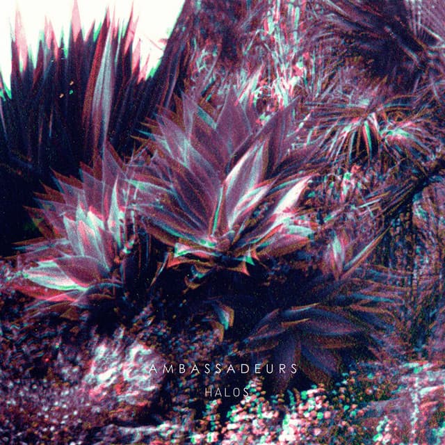 Lotus cover art