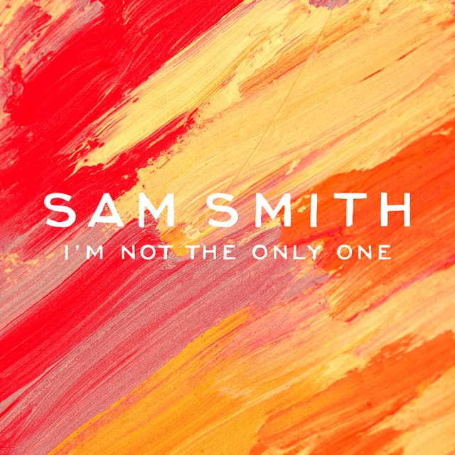 I'm Not The Only One - Armand Van Helden Remix cover art