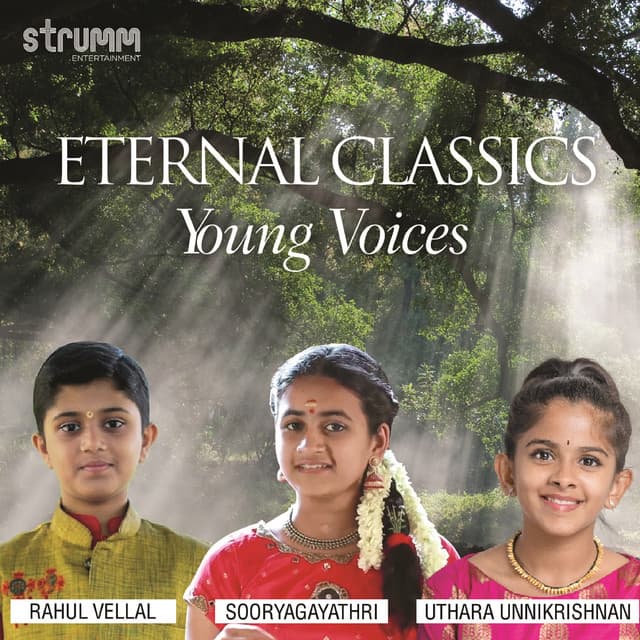 Swagatham Krishna cover art