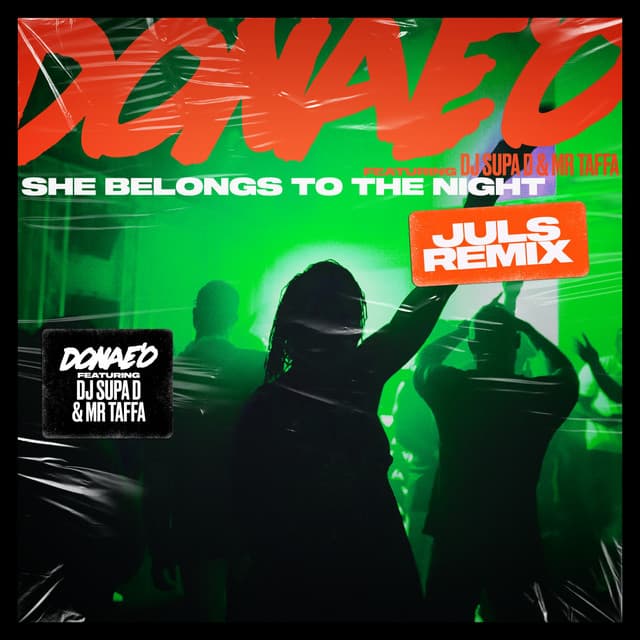 She Belongs to the Night - Juls Remix cover art