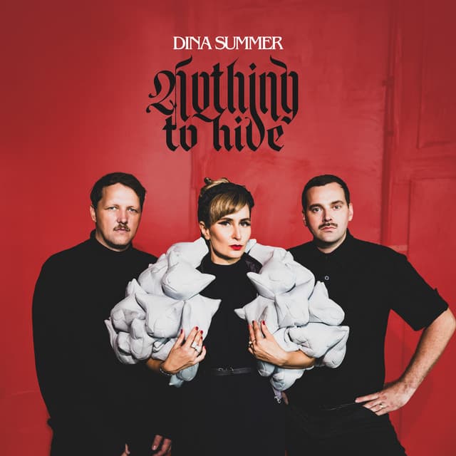 Nothing To Hide cover art