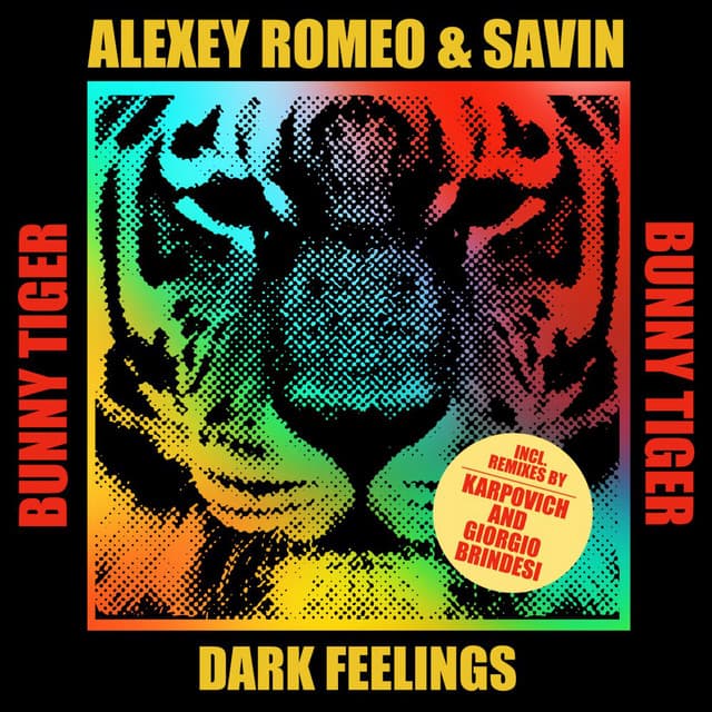 Dark Feelings - Karpovich Remix cover art