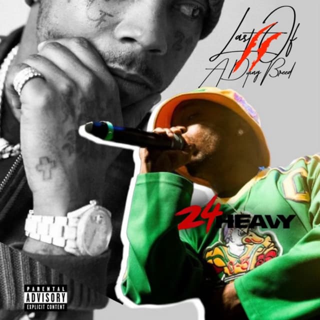 Last Of A Dying Breed II cover art